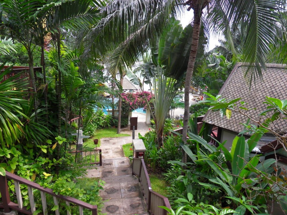 Treppen zum Pool Centara Villas Samui