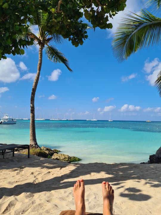 Strand Secrets La Romana Resort & Spa - Adult Only