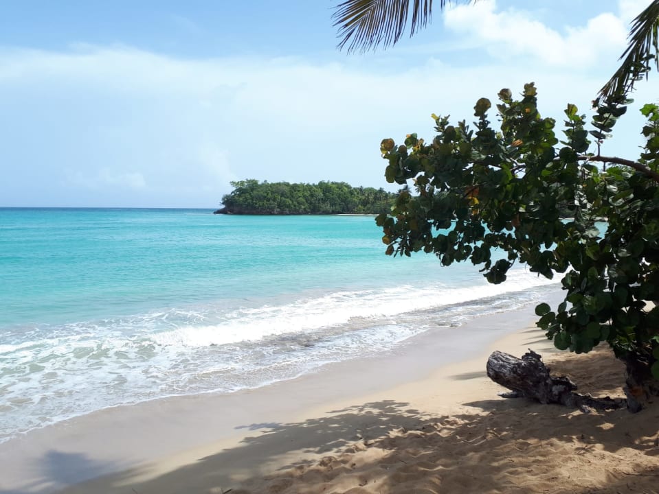 Strand Bahia Principe Grand El Portillo
