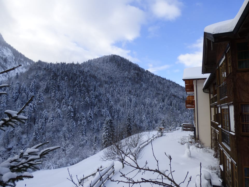 Ausblick Hotel-Gasthof Mauthäusl
