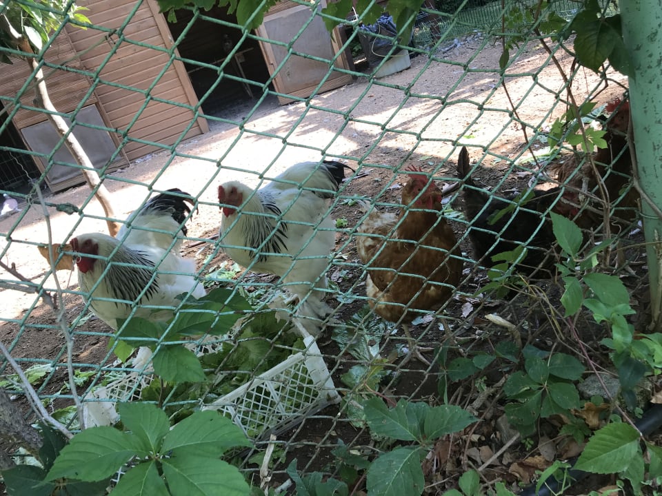 Sonstiges Labranda Alantur Resort