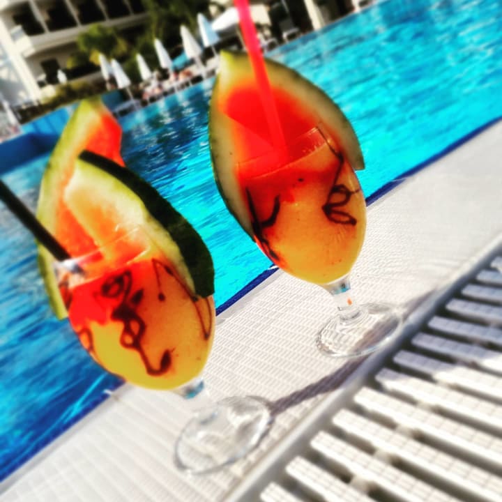 Gastro Seashell Vega