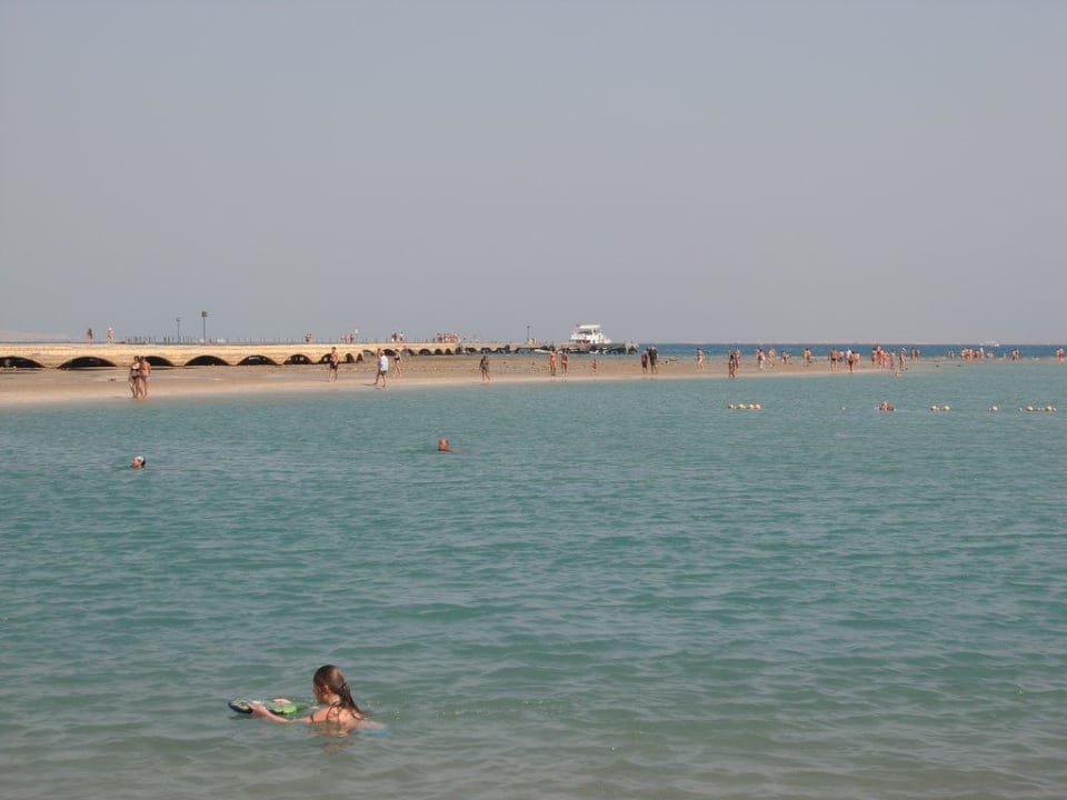 Strand bei Ebbe Pickalbatros Dana Beach Resort - Hurghada