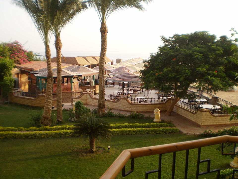 Вид из номера SUNRISE Holidays Resort (Adults Only)