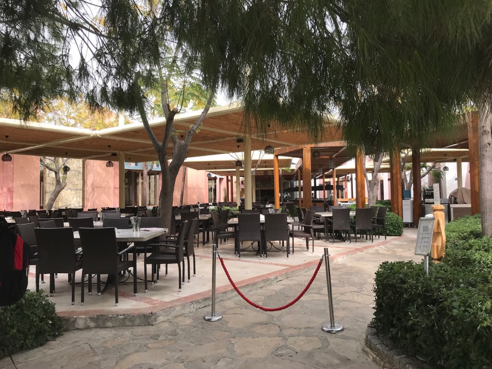 Gastro Blue Waters Club