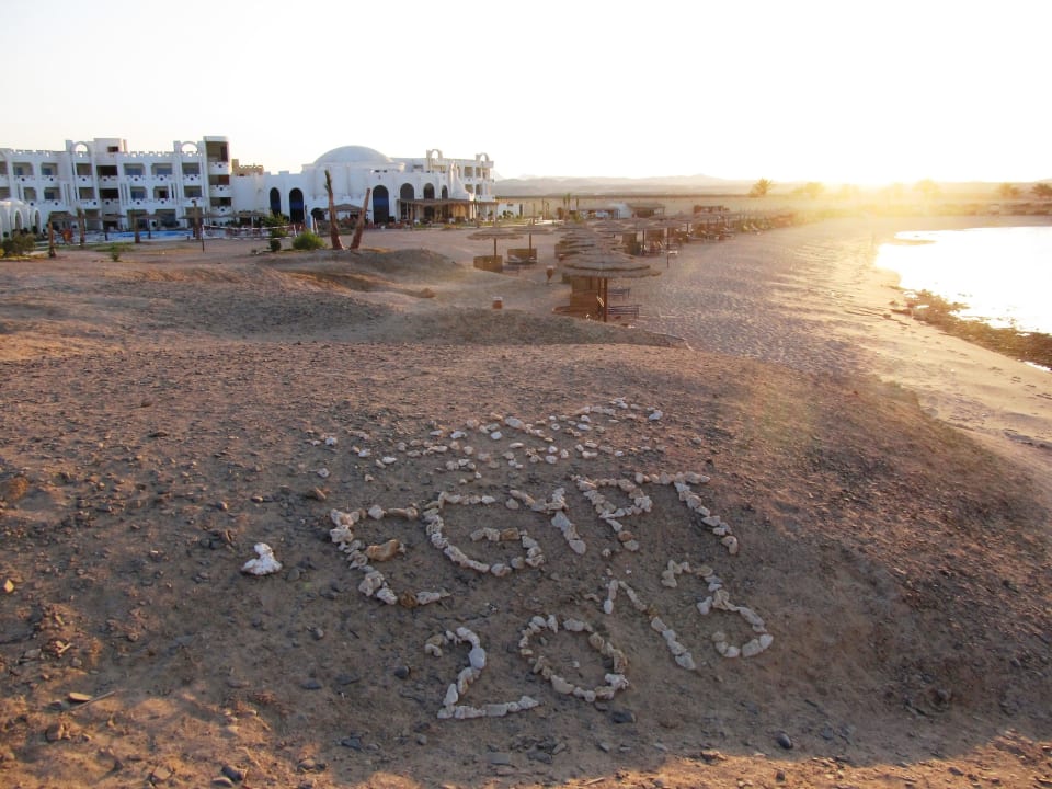 Туристы датируют лето Coral Sun Beach