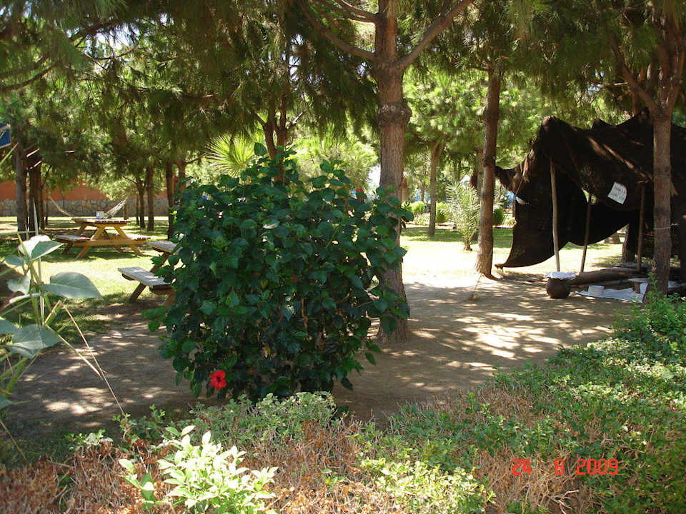 Garten Club Turtas Beach Hotel