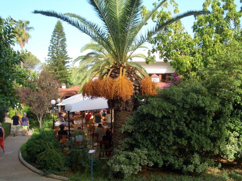 Blick zum Essen Labranda Alantur Resort