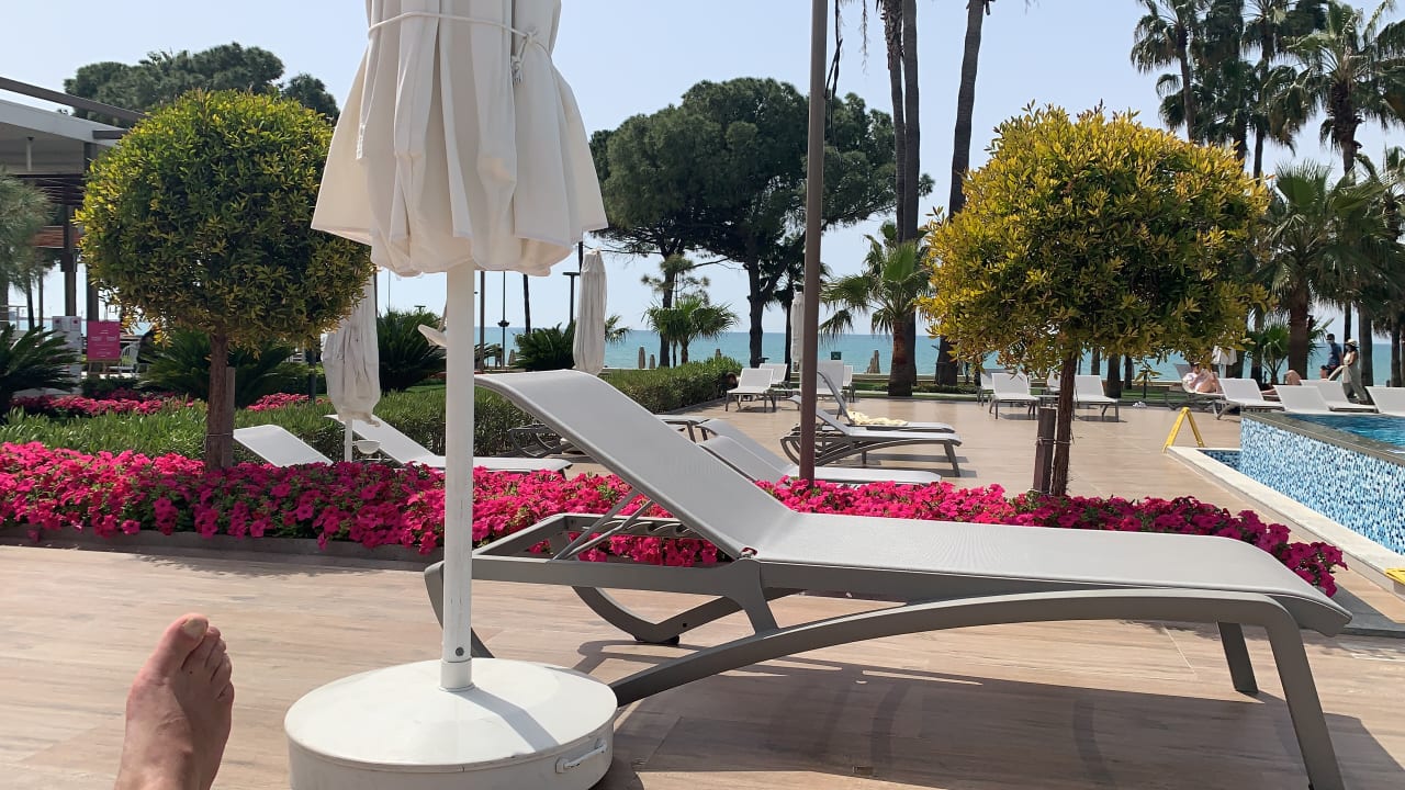 Pool Acanthus Cennet Barut Collection