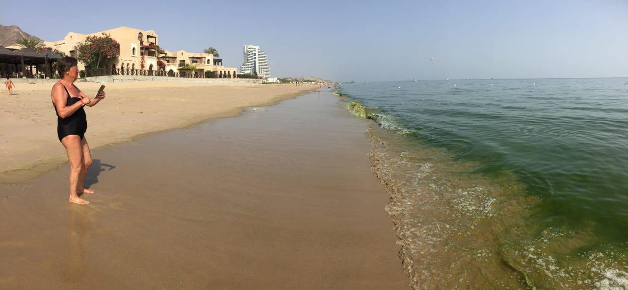 Strand Miramar Al Aqah Beach Resort