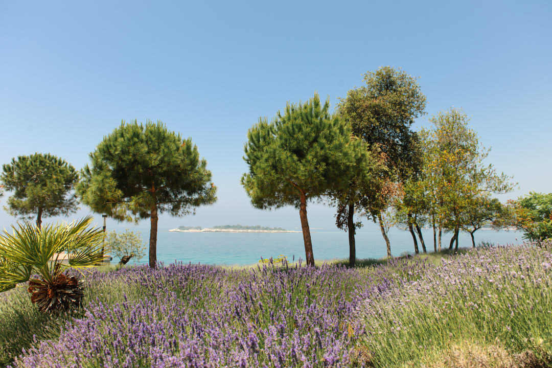 Ausblick Maistra Select Island Hotel Istra