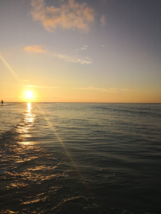 Ausblick Kuredu Island Resort & Spa