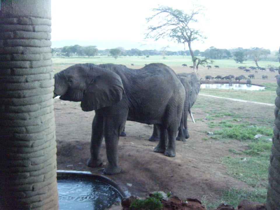 Wasserfluss an der Lodge Salt Lick Safari Lodge