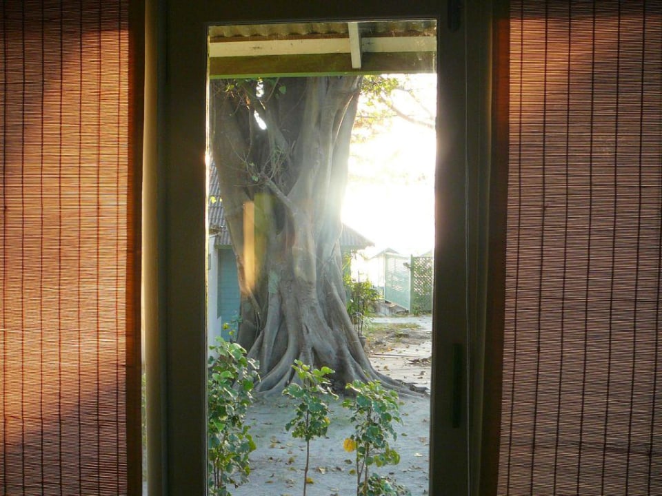 Blick vom Bungalow hinaus Sai Kaew Beach Resort