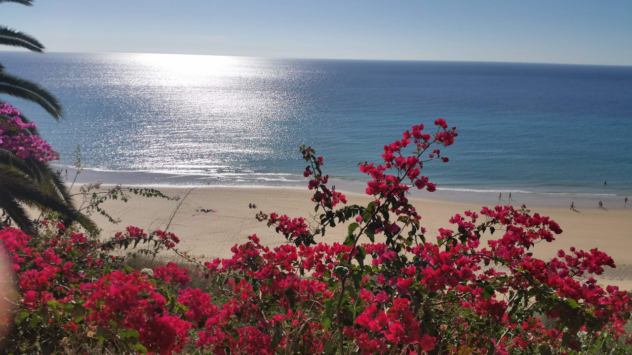 Blick vom Pool SBH Club Paraiso Playa