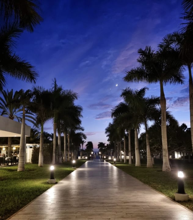 Gartenanlage Hotel Riu Palace Meloneras