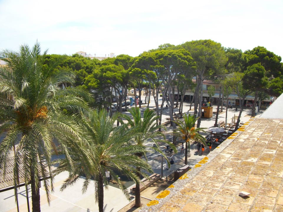 Auf Pinienplatz (mitten im Herze Hotel Bella Mar