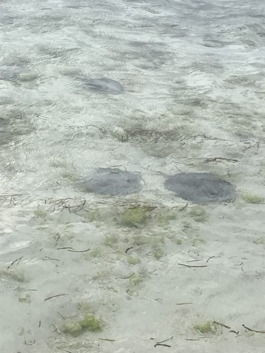 Sonstiges Kuredu Island Resort & Spa