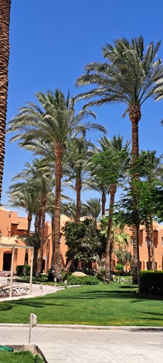 Gartenanlage Jaz Makadi Oasis Resort