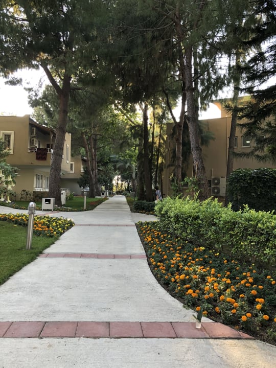 Gartenanlage Club Sidelya Hotel