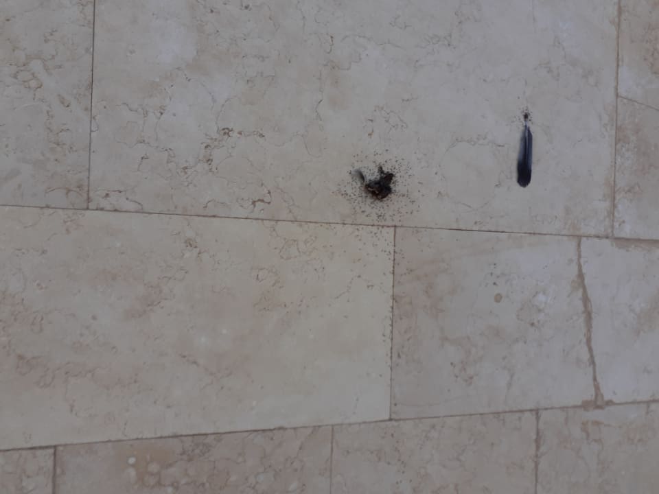 Zimmer Makadi Spa - Adults only