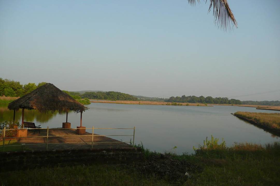 Mandovi River Mercure Goa Devaaya Retreat