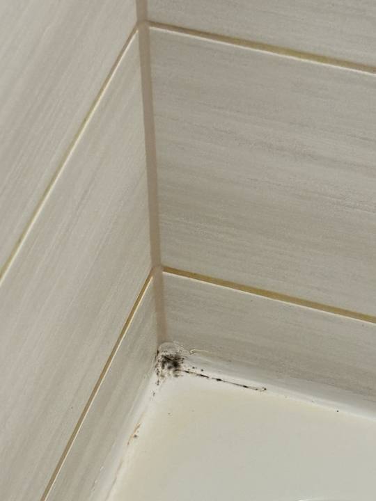 Zimmer Aspire Castillo Reutlingen, Trademark Collection by Wyndham