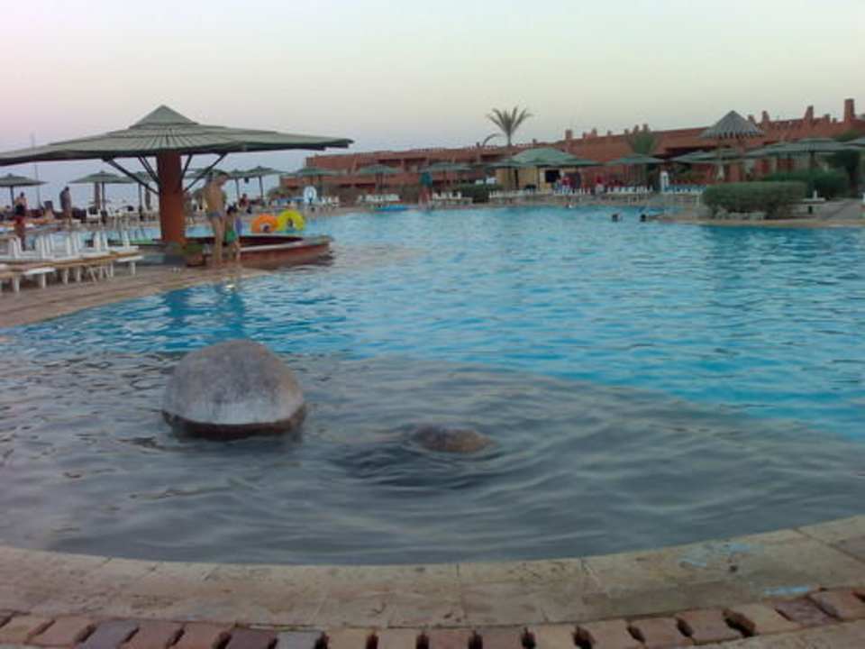 Бассейн Hotel Hauza Beach Resort