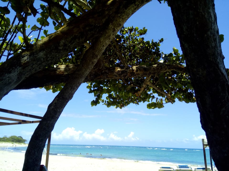 Ausblick Marien Puerto Plata