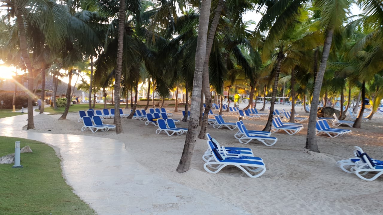 Strand Hotel Viva Dominicus Beach by Wyndham - All Inclusive Resort