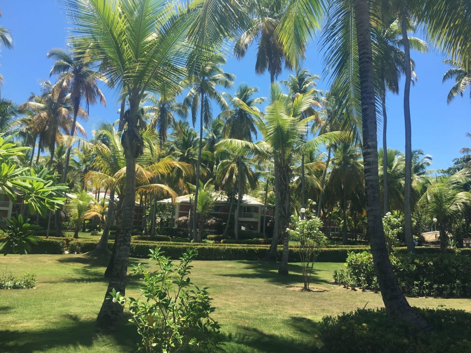 Gartenanlage  Grand Palladium Select Bávaro Resort & Spa