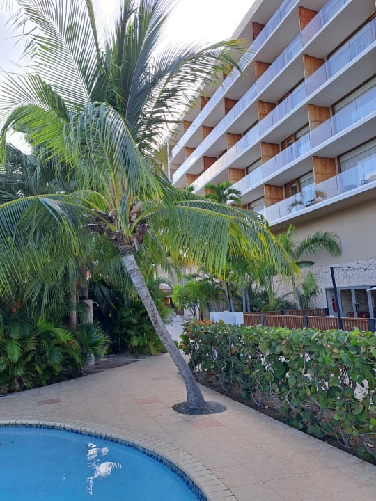 Gartenanlage Dreams Curacao Resort, Spa & Casino