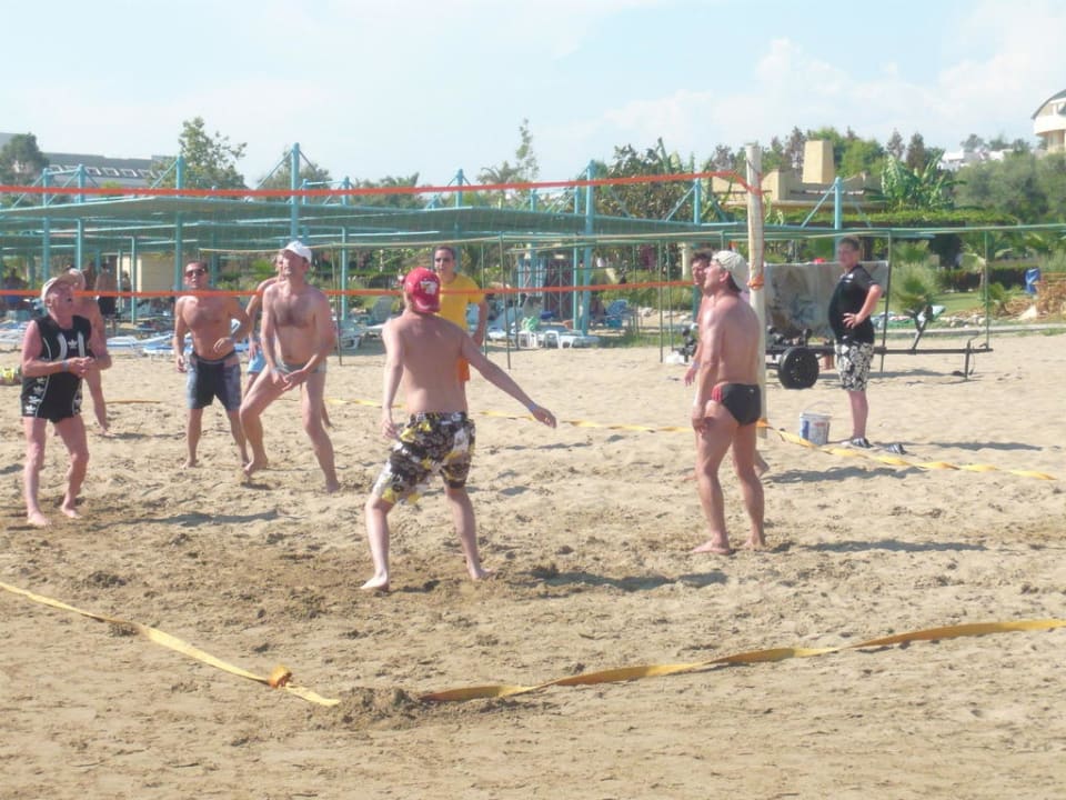 Volleyball Trendy Palm Beach (Adults Only, 16+)