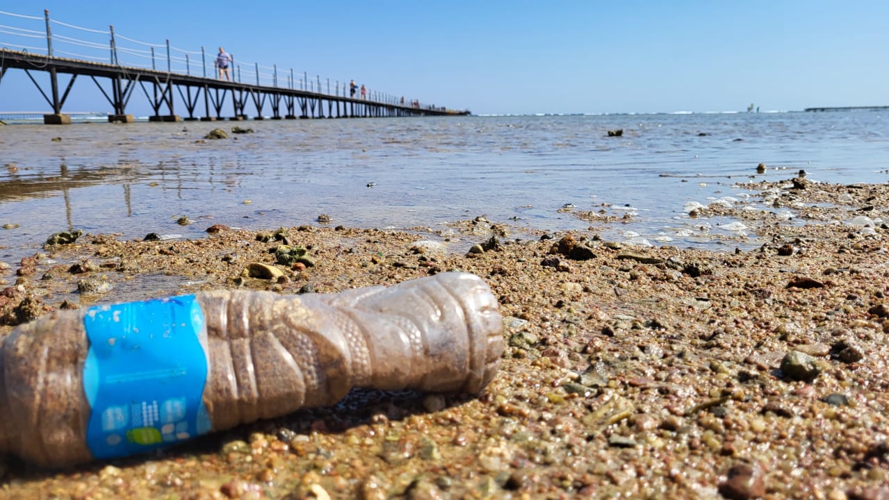 Strand Pickalbatros Royal Moderna Resort-Sharm El Sheikh