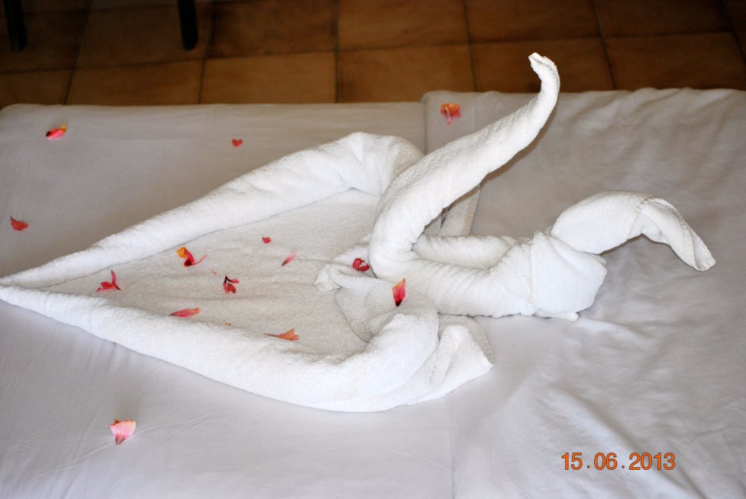 Immer wieder schön, das war am letzten Abend Ghazala Beach