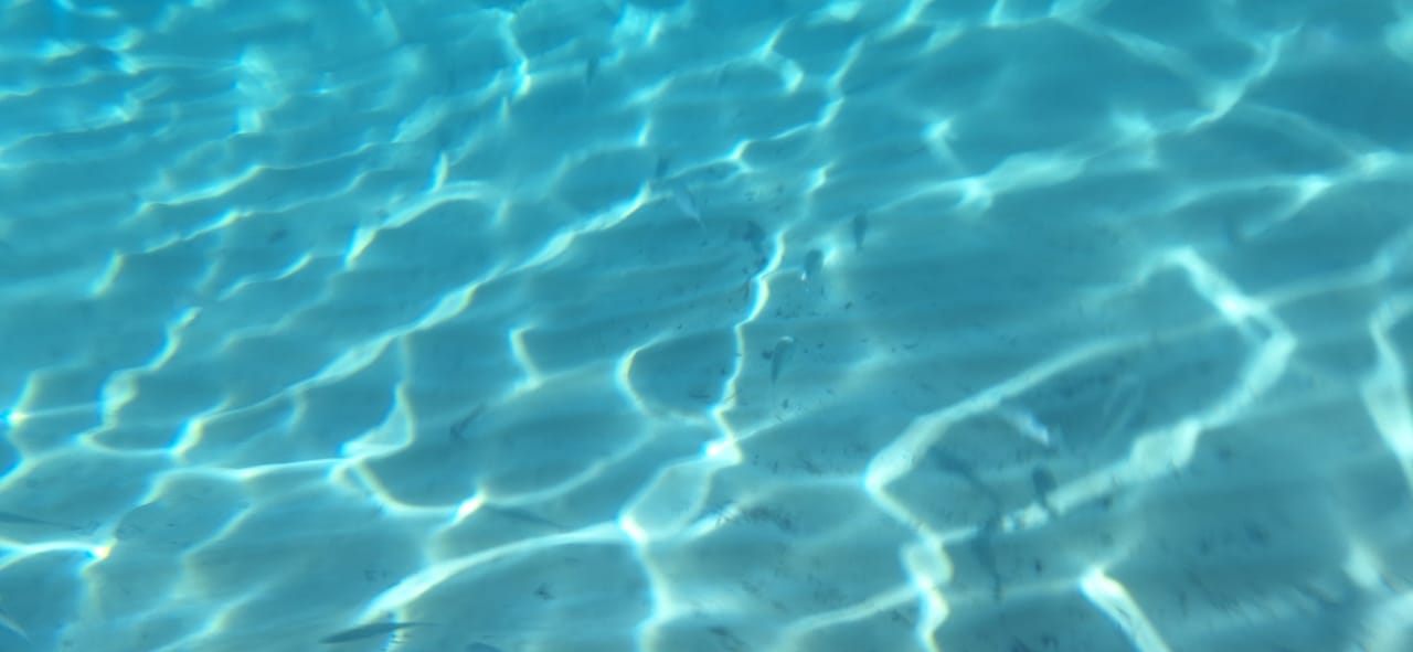 Strand Alkyna Lifestyle Beach Resort - Adults Only