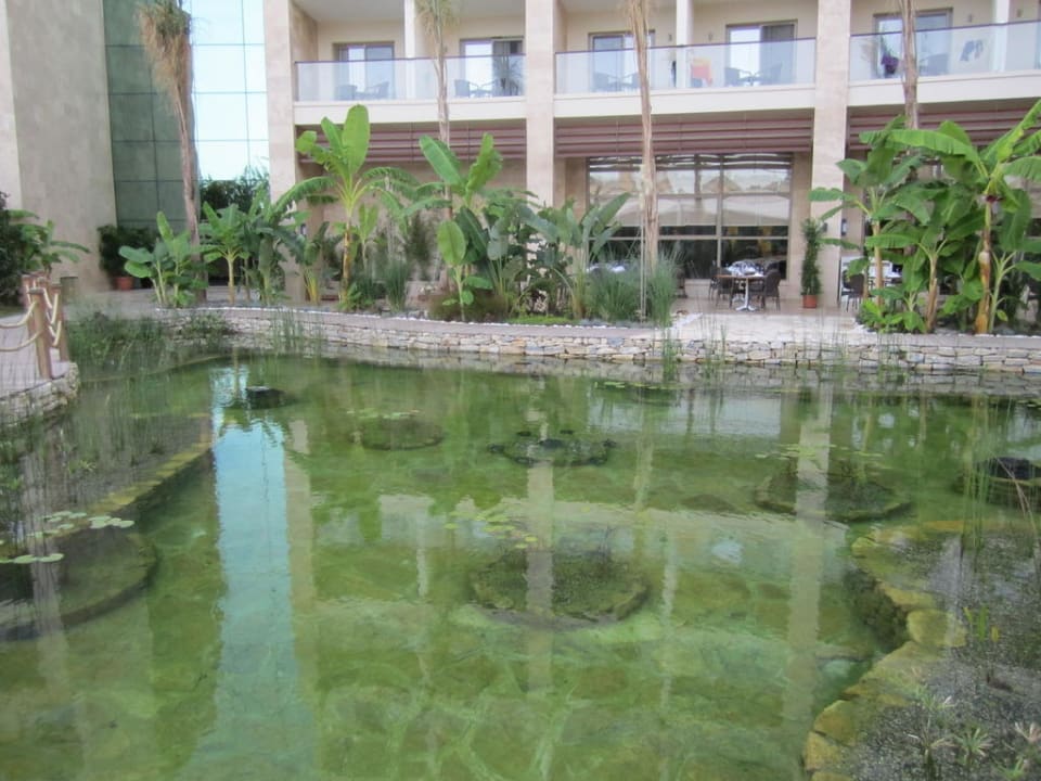 Kleiner Teich Paloma Pasha