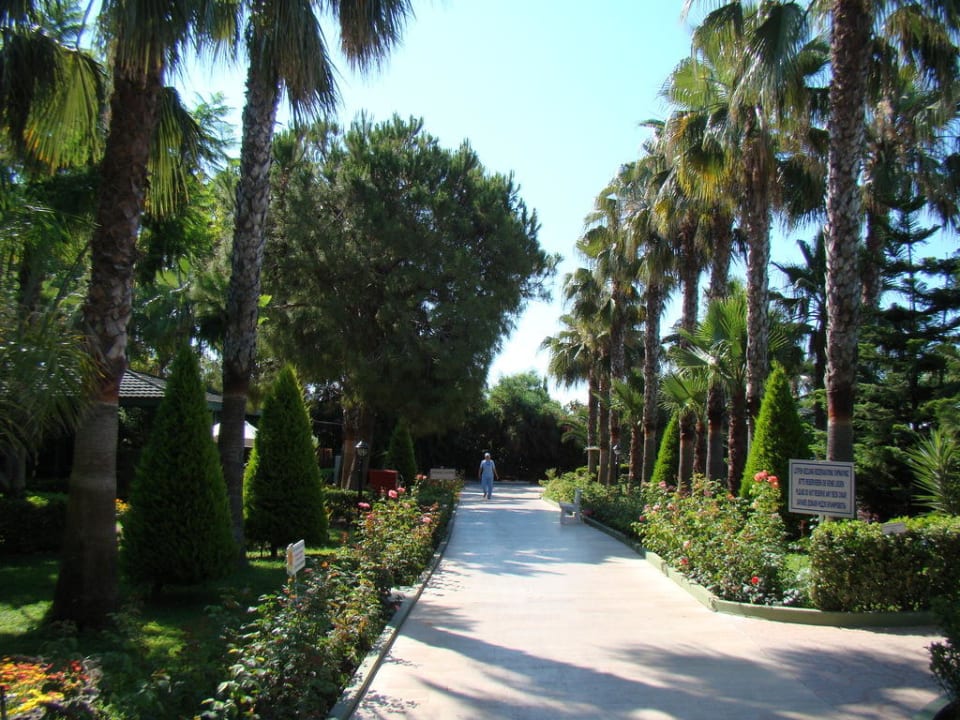 Сквер Botanik Hotel & Resort