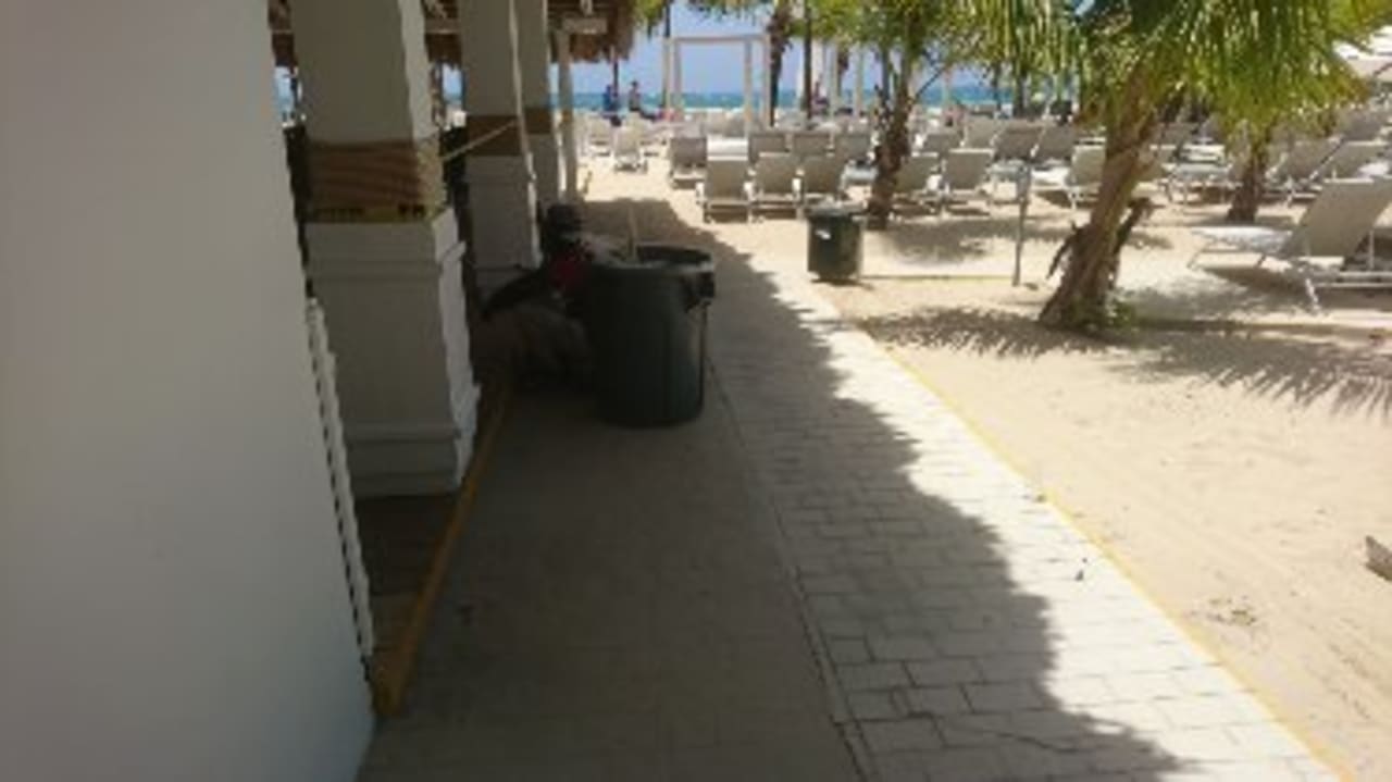 Gastro Viva Heavens by Wyndham - All Inclusive Resort