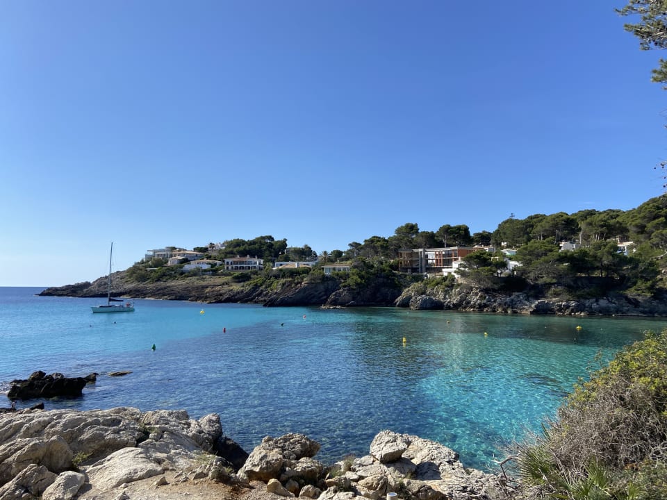 Ausblick Iberostar Waves Pinos Park