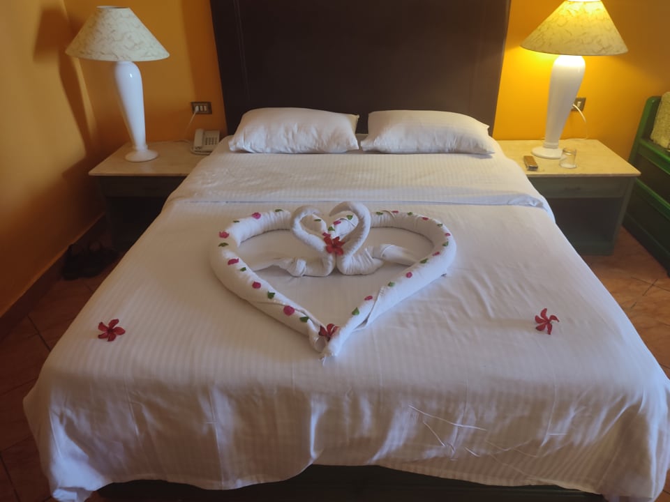 Zimmer Arabia Azur Resort