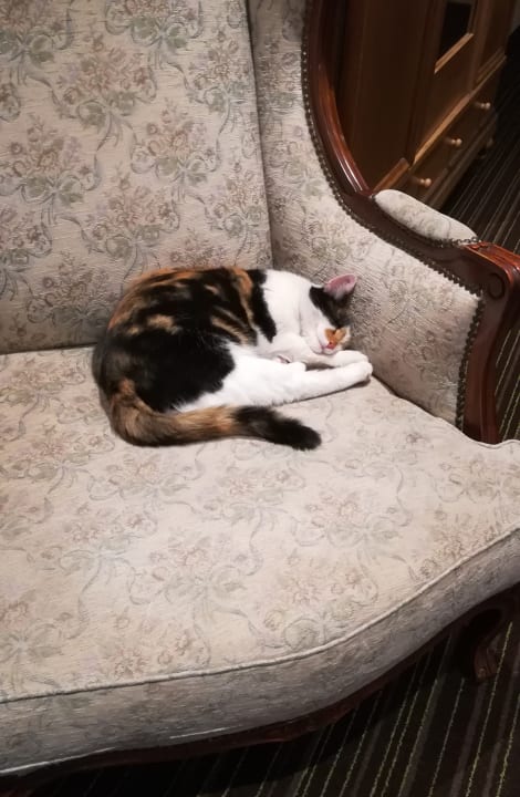 Sonstiges Gasthaus zur Blume