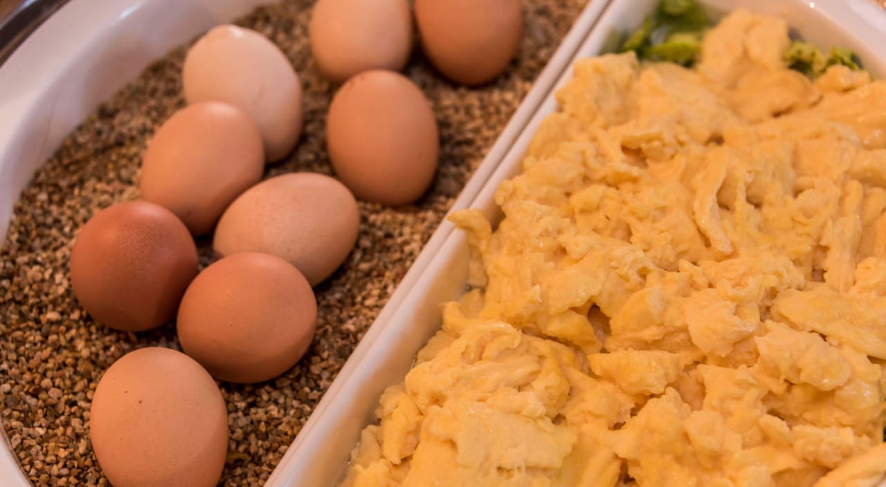 Frühstücksbuffet Hotel Mutz  Hotel Mutz Garni