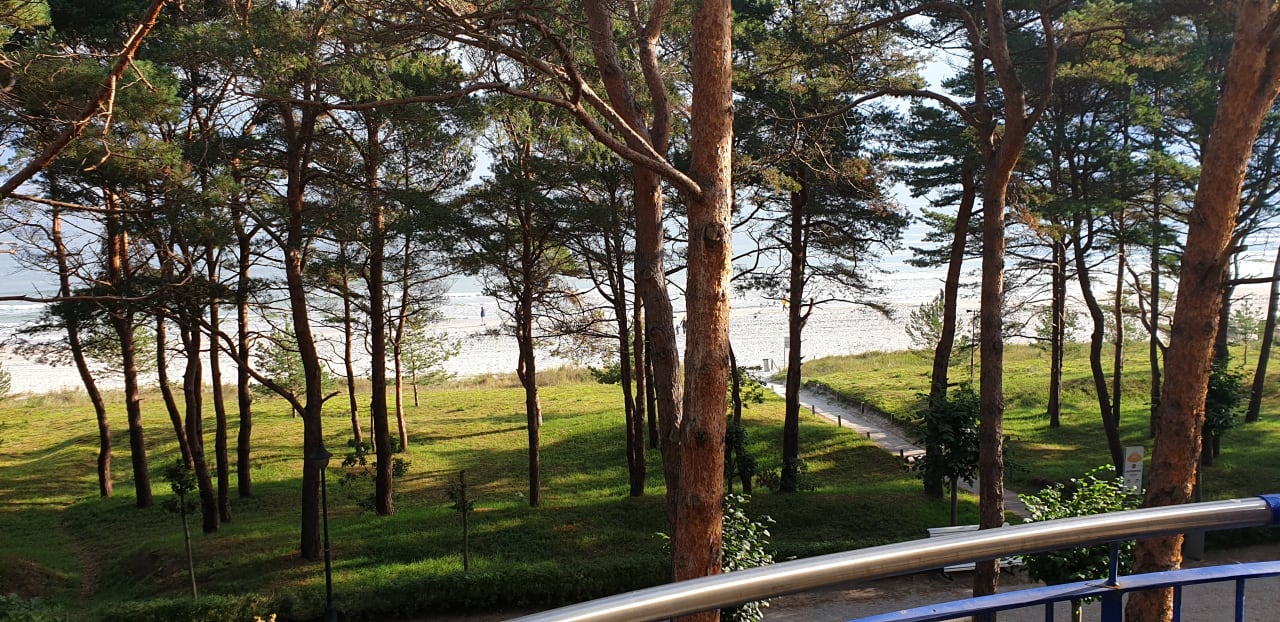 Ausblick IFA Rügen Hotel & Ferienpark