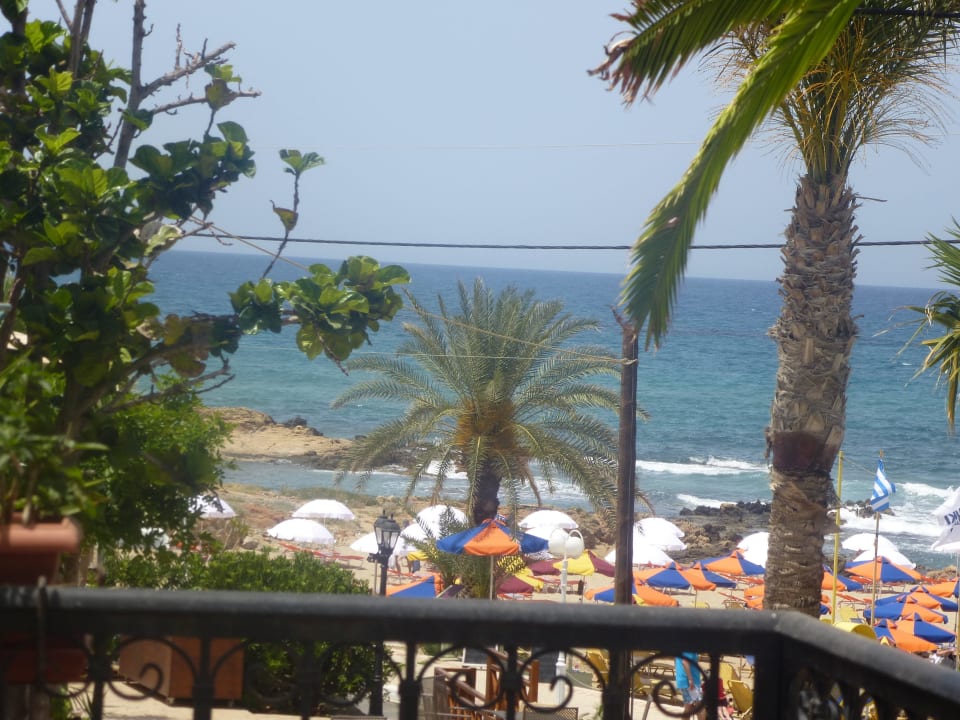 Blick von der Terrasse Cactus Beach