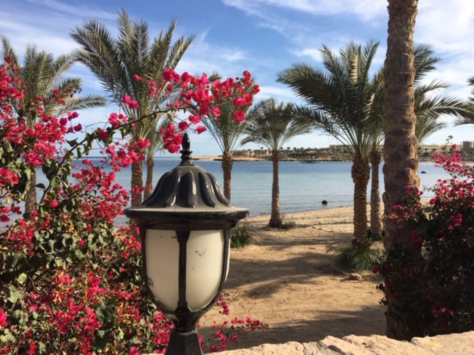 Strand Brayka Bay Resort