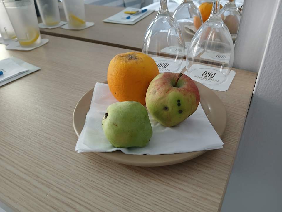 Zimmer HARPIN Happy Days Beach Hotel