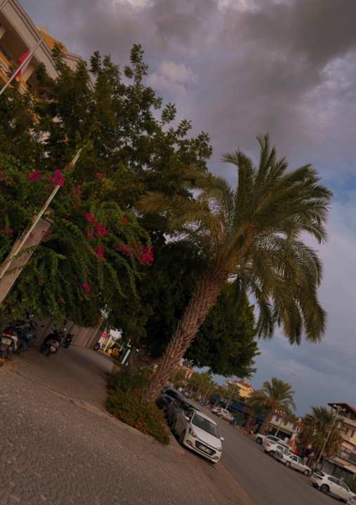 Außenansicht Side Alegria Hotel & Spa - Adults only +16