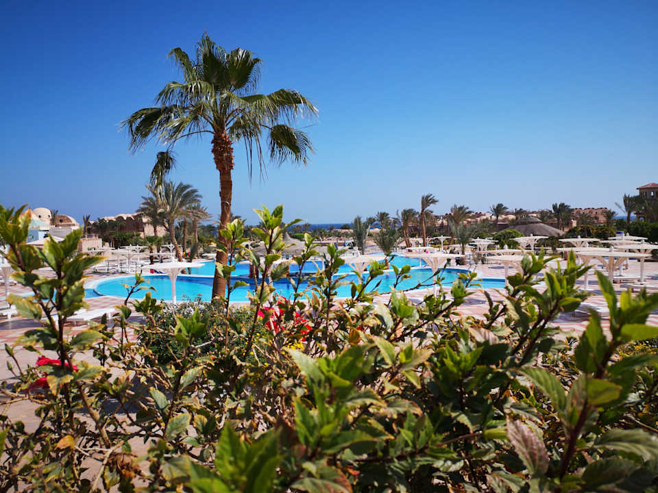 Pool Pensée Royal Garden Beach Resort