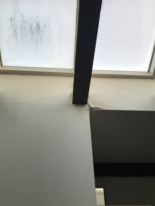 Zimmer Villa Bellevue Dresden